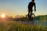 Twin Six Standard Rando Gravel Bike - Black 650B